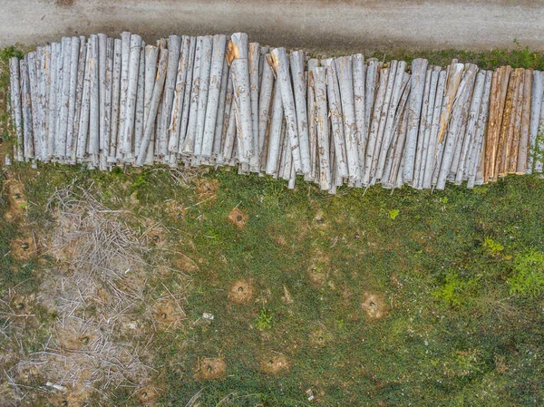 木材のログのスタックの空中ビュー 森の中の木の山 — ストック写真