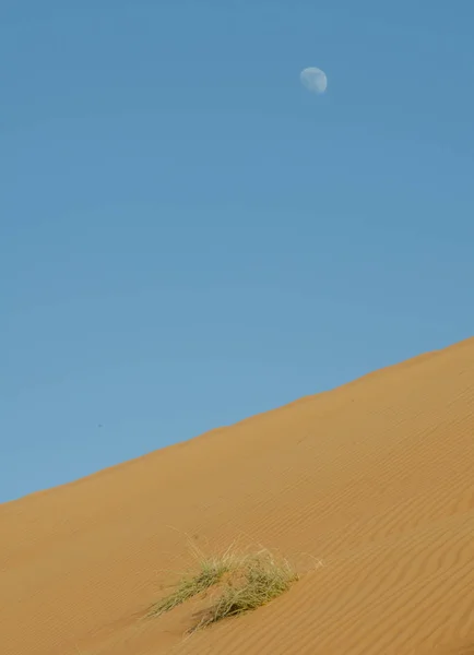 Dunes Sable Avec Configuration Vent Dans Désert Sable Wahiba — Photo