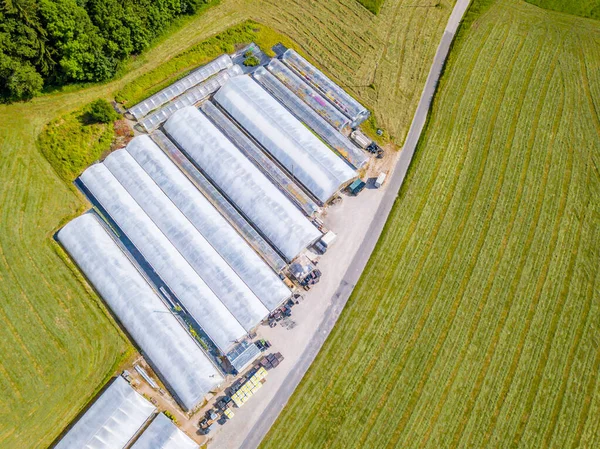 农村苗圃温室安装的空中景观 绿草之间的温室屋顶 — 图库照片