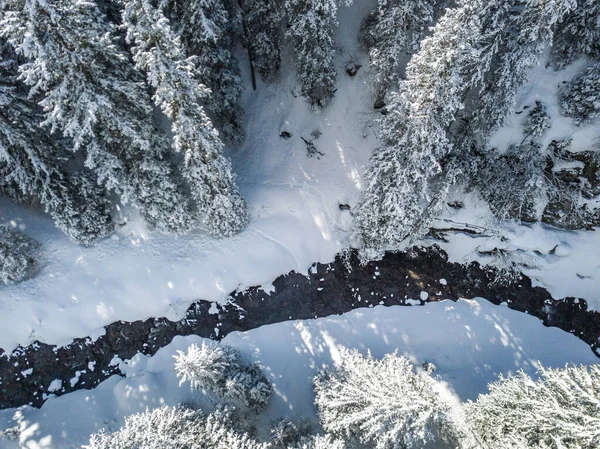 苏州河雪地覆盖森林的空中景观平静如画 — 图库照片