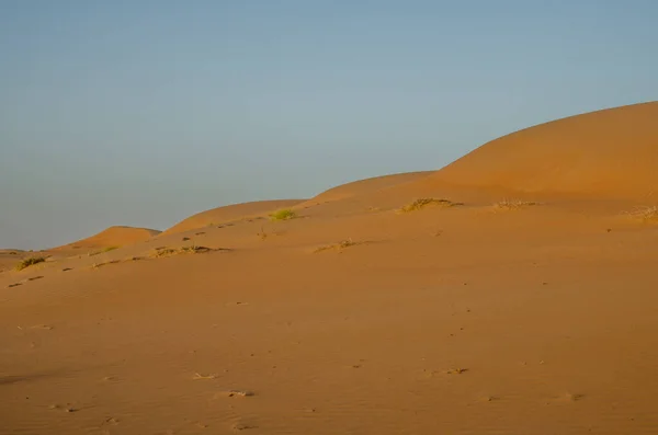 Dune Sabbia Con Motivo Del Vento Nel Deserto Sabbioso Wahiba — Foto Stock