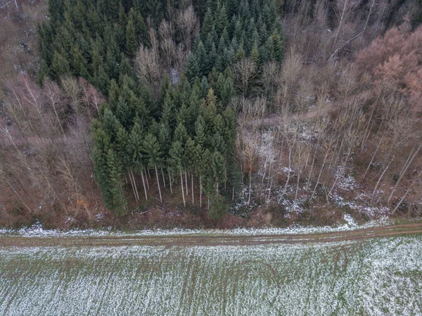 Aerial View Trees Covered Hoarfrost Cold Winter Day Beautiful Patterns — Stockfoto