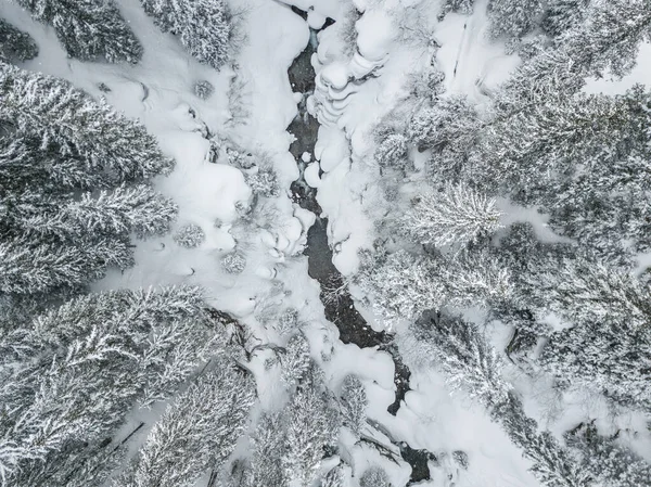 Vista Aérea Del Bosque Cubierto Nieve Del Río Thorugh Escena —  Fotos de Stock