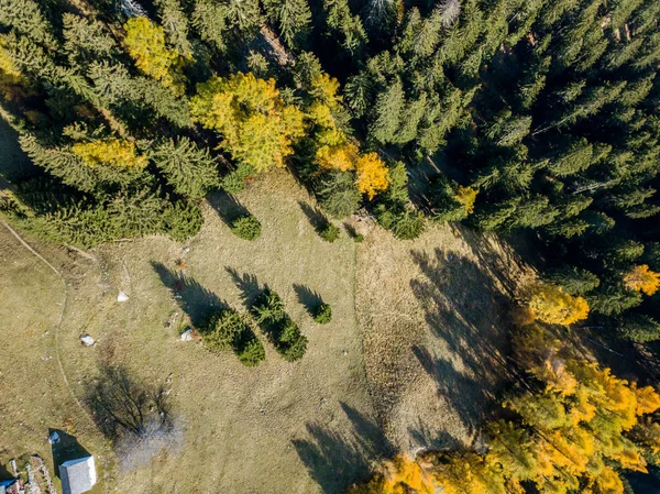 Flygfoto Över Skog Panorama Landsbygdslandskapet — Stockfoto