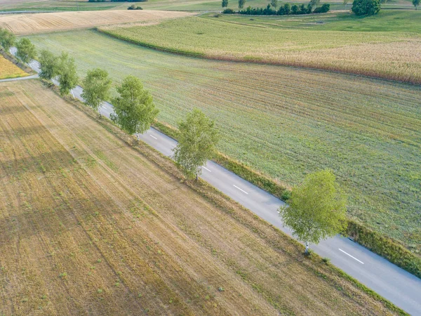 Ağaçlar Boyunca Yol Manzarası — Stok fotoğraf