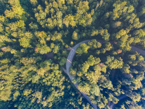 Pemandangan Udara Jalan Melalui Hutan Swiss — Stok Foto