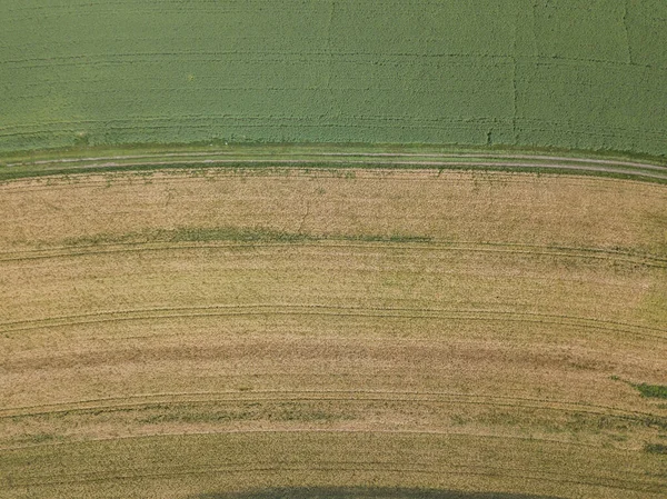 Vista Aerea Del Campo Grano Con Struttura Vegetale — Foto Stock