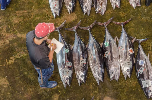 Overhead Melihat Pasar Ikan Jepang Dengan Ikan Tuna — Stok Foto