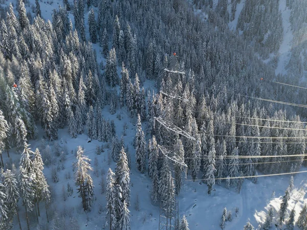 Luchtfoto Van Hoogspanningsleiding Door Het Alpendal Zwitserland Sneeuw Bedekt Bomen — Stockfoto