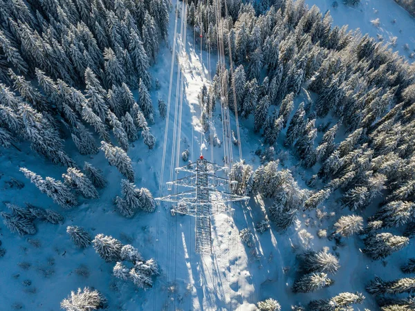 Flygfoto Kraftledning Genom Alpin Dal Schweiz Snötäckta Träd Vintern Begreppet — Stockfoto