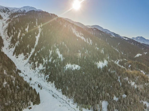 Pemandangan Udara Dari Pohon Cemara Yang Tertutup Salju — Stok Foto