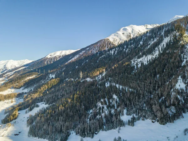 Flygfoto Snötäckta Granar — Stockfoto