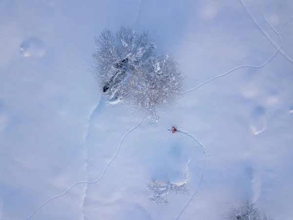 Flygfoto Över Bergsbestigare Vandring Uppåt Med Turskidor Snötäckt Backcountry Begreppet — Stockfoto