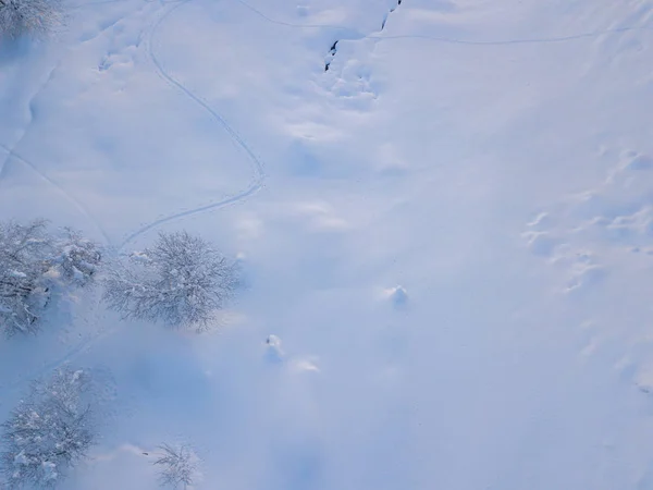 Flygfoto Över Bergsbestigare Vandring Uppåt Med Turskidor Snötäckt Backcountry Begreppet — Stockfoto