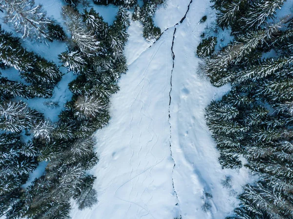 Flygfoto Snötäckta Granar — Stockfoto