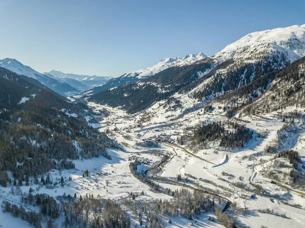 Flygfoto Snötäckta Granar — Stockfoto