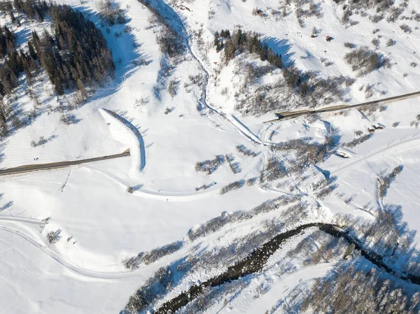 Flygfoto Snötäckta Granar — Stockfoto