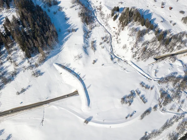 Flygfoto Snötäckta Granar — Stockfoto