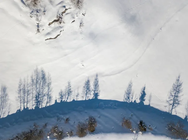 空中看白雪覆盖的冷杉树 — 图库照片