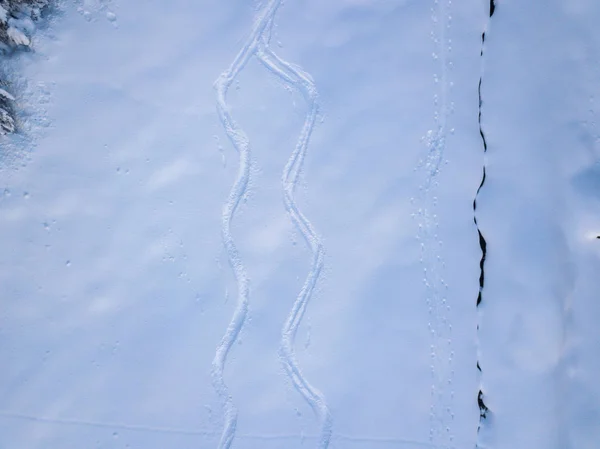 Vista Aérea Abetos Cubiertos Nieve —  Fotos de Stock