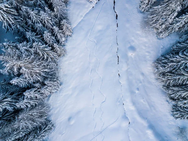 雪に覆われたモミの木の空中風景 — ストック写真