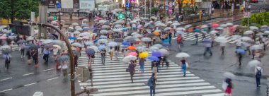 Shibuya, Tokyo, Japonya yaya geçidi ve cityscape.
