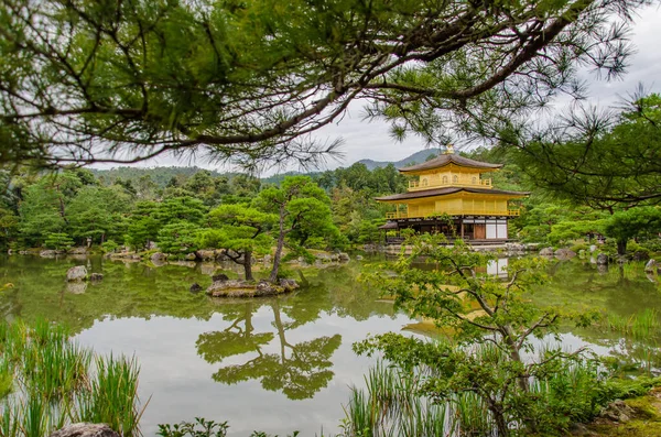 Templo Dourado Kinkaku Kyoto Bela Atração Turística Japão — Fotografia de Stock