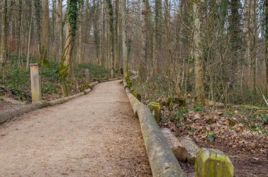 İsviçre 'de ormanda koşmak için odun parçası izleri. Etkin açık hava uygunluğu kavramı.