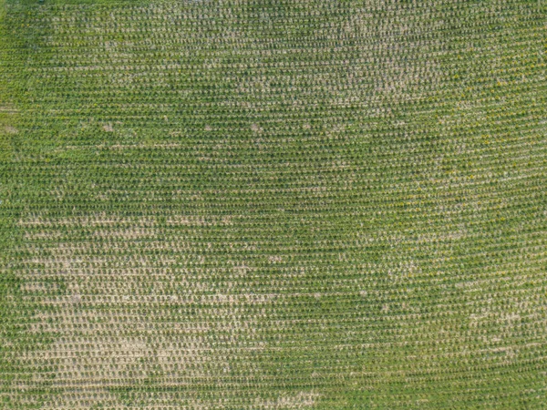 유럽의 농경지를 위에서 바라본 — 스톡 사진