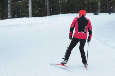 Kayakçı kış ormanı. Doğa manzarası.