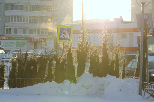 29.12.2019, Syktyvkar, Rússia, venda de férias de rua de árvores de christmass . — Fotografia de Stock