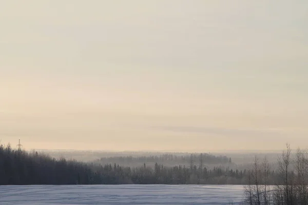Winterlandschaft mit schneebedecktem Feld, Wald und grauem Himmel — Stockfoto