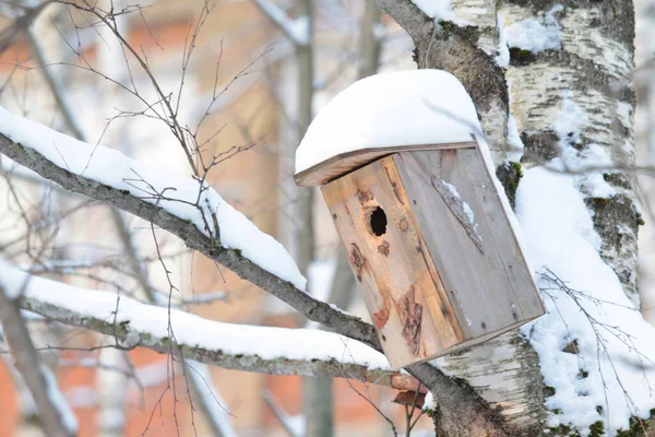 Dřevěný ptačí budka visí na stromě v parku v jasný zimní den — Stock fotografie