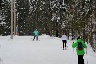 Kış ormanlarının arka planında kayak yapan insanlar, aktif eğlence, yaşam tarzı, arkadan görüş. Web, yazdırma ve arkaplan için resim, metin ve tasarım için boş alan