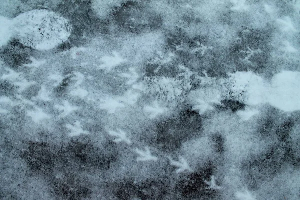 Grijze Sneeuw Textuur Met Vogel Tracks Voor Achtergrond — Stockfoto