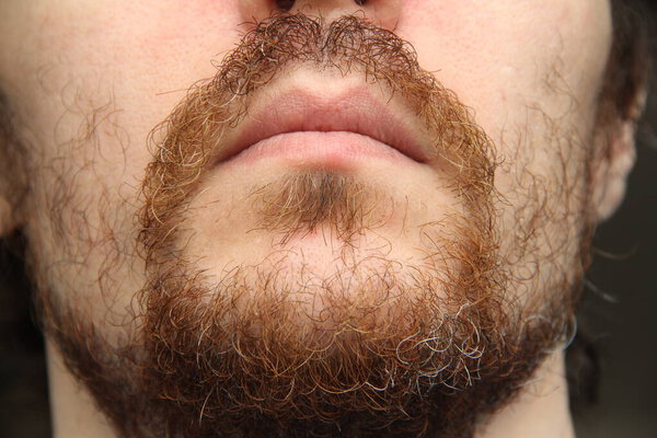 The lower part of the face of a white man with a beard and mustache.