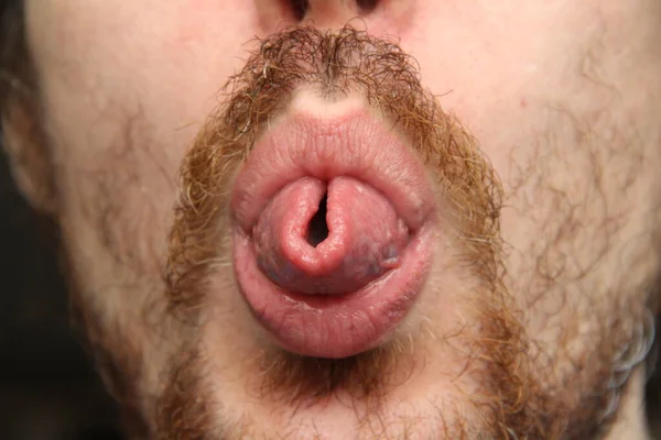 White Man Mustache Beard Shows Tongue Rolled — Stock Photo, Image