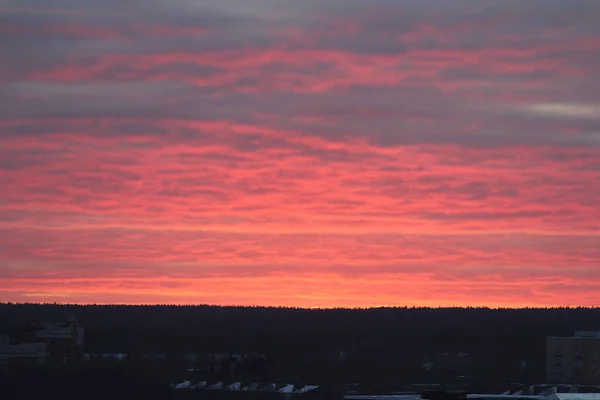 Heldere Scharlaken Zonsondergang Zonsopgang Aan Horizon Roze Wolken Verlicht Door — Stockfoto