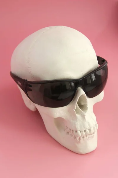 White Human Gypsum Skull Black Sunglasses Pink Background — Stock Photo, Image