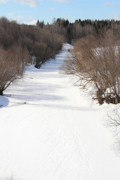 冬季森林背景下的灌木与白云映衬下的蓝天之间的雪路 牧养理想主义的风景 冬季迷人的心情 网上和印刷品的库存照片 — 图库照片