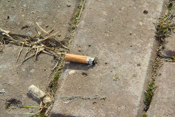 香烟的烟头躺在灰色铺路人的人行道上。环境污染和火灾危险概念 — 图库照片