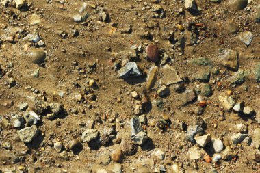 Küçük taşlar ve kum. Toprağın doğal dokusu. Kumsalı ve çakıl taşları olan bir gölün kıyısında.