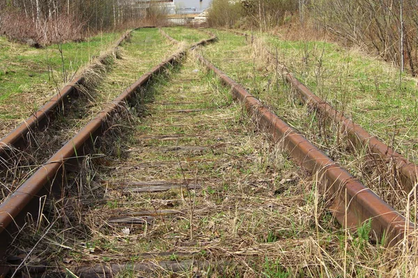 De spoorlijn strekt zich in de verte uit tegen de achtergrond van jong groen gras en bomen in het voorjaar Stockafbeelding