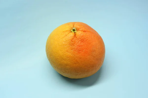 Pomelo rojo-naranja entero sin cortar sobre un fondo azul. Cítricos jugosos —  Fotos de Stock