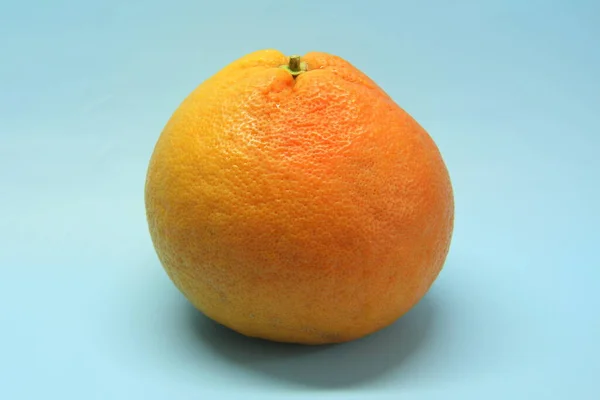 Rot-orange ganze ungeschnittene Grapefruit auf blauem Hintergrund. Saftige Zitrusfrüchte — Stockfoto