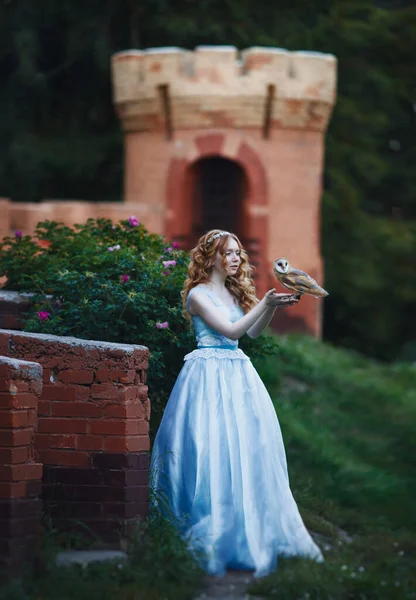 美丽的红头发姑娘手拿猫头鹰在城堡的后面走着 公主在城堡里走着 — 图库照片