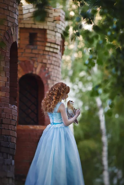 Красива Руда Дівчина Гуляє Совою Руці Тлі Замку Принцеса Гуляє — стокове фото