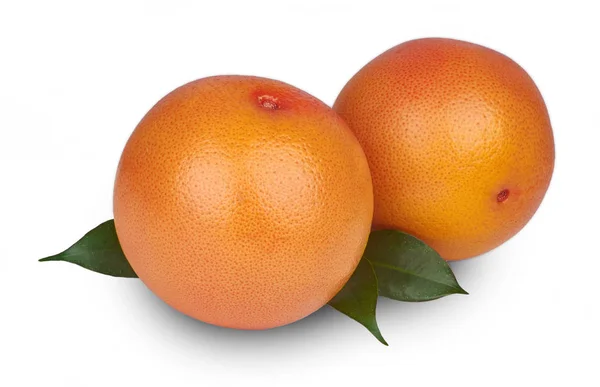Färsk grapefrukt isolerade — Stockfoto