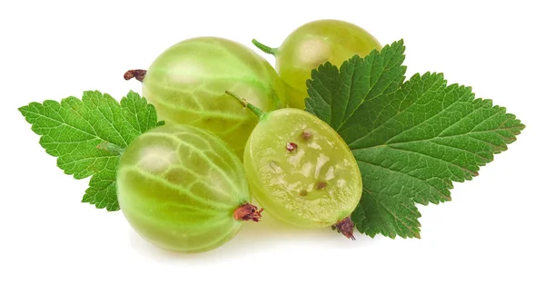 Gooseberry isolated in close up — Stock Photo, Image