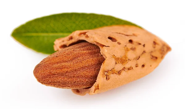 Almond isolated on white background — Stock Photo, Image